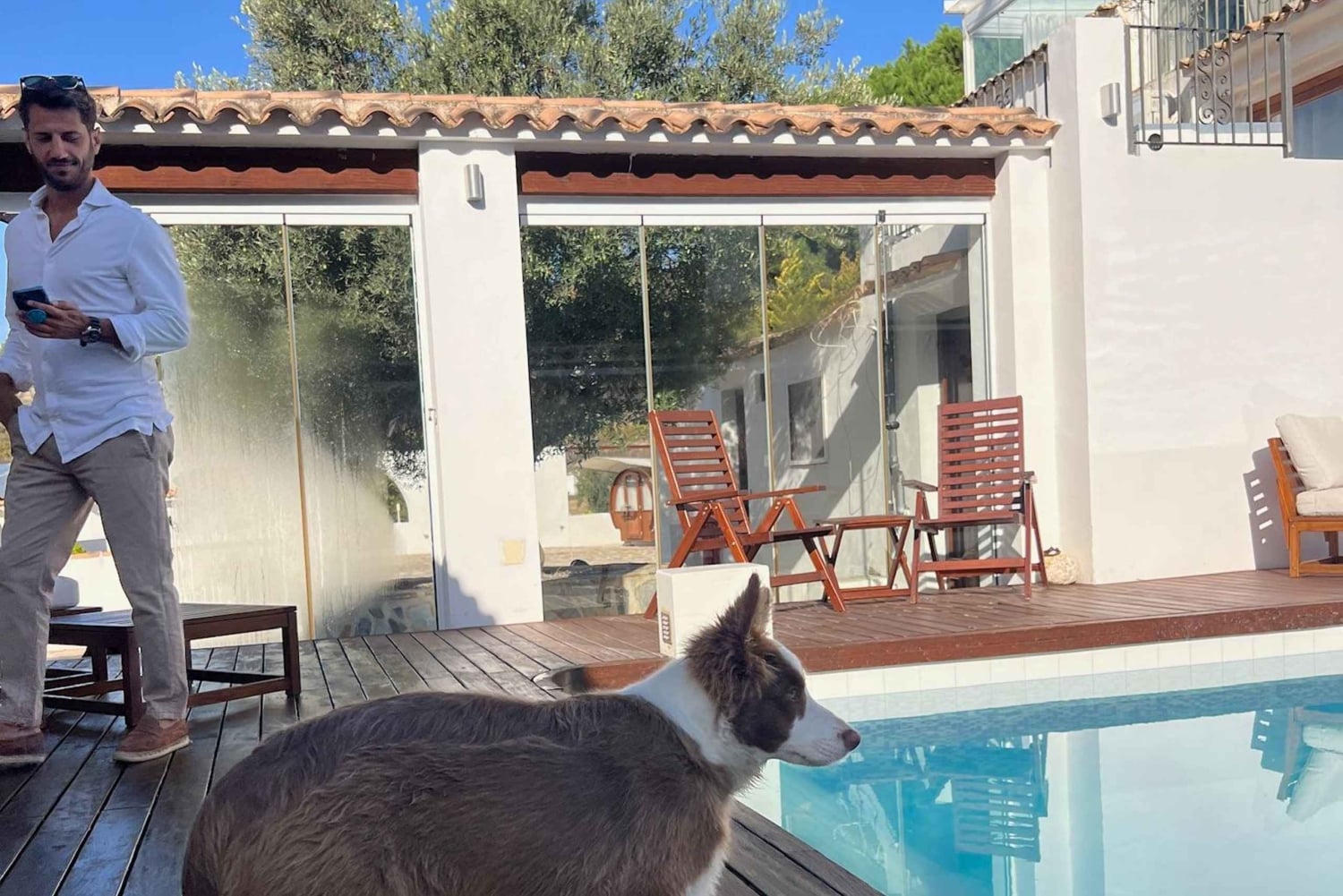 Desde Alicante: 2 Catas de Vino Premium y Tapas