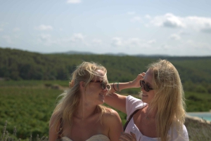 Из Аликанте: 2 дегустации вин премиум-класса и тапас