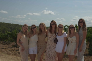 Из Аликанте: 2 дегустации вин премиум-класса и тапас