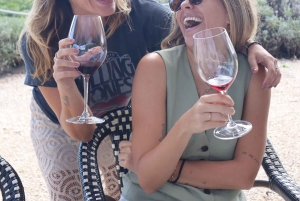 Из Аликанте: 2 дегустации вин премиум-класса и тапас