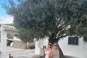 Из Аликанте: 2 дегустации вин премиум-класса и тапас