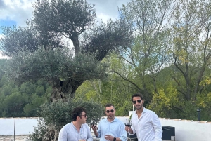 Из Аликанте: 2 дегустации вин премиум-класса и тапас