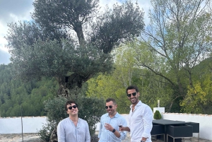 Из Аликанте: 2 дегустации вин премиум-класса и тапас