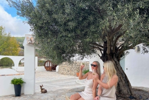 Из Аликанте: 2 дегустации вин премиум-класса и тапас