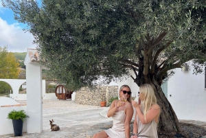 Из Аликанте: 2 дегустации вин премиум-класса и тапас