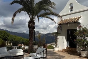 Desde Alicante: 2 Catas de Vino Premium y Tapas