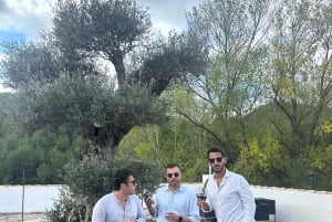 Desde Alicante: 2 Catas de Vino Premium y Tapas