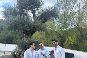 Desde Alicante: 2 Catas de Vino Premium y Tapas