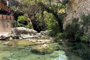 From Alicante: Algar Waterfalls Day Trip