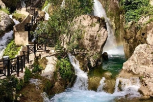 Da Alicante: Tour delle cascate di Algar con trasferimento