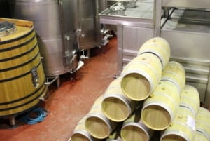 Alicante: tour guidato della cantina storica + degustazione di vino / trasporto privato
