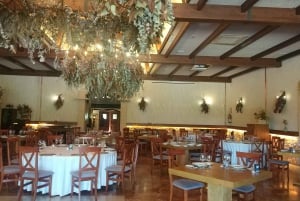 Alicante: tour guidato della cantina storica + degustazione di vino / trasporto privato