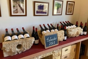 アリカンテ／ベニドルムで最高のワイナリーツアー（テイスティング付き）をお楽しみください