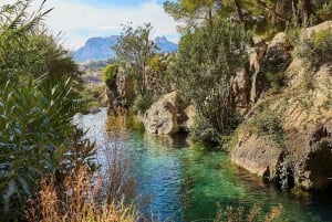 From Alicante/Benidorm: Guadalest and Algar Waterfalls Tour