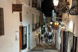 From Alicante & Benidorm: Historical Wolking Tour of Altea