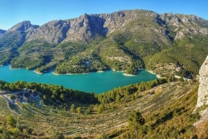 Depuis Alicante ou Benidorm : excursion d'une journée à Guadalest et Altea