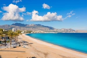 Depuis Alicante ou Benidorm : excursion d'une journée à Guadalest et Altea