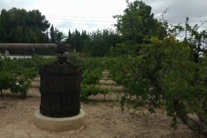 Depuis Alicante : Meilleure visite de vignobles et dégustation de vin