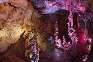 Alicante: Grotta di Canelobre viaggio nel tempo + tour di Busot \trasporto privato