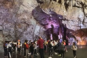 Alicante: Grotta di Canelobre viaggio nel tempo + tour di Busot \trasporto privato