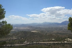 Alicante: Grotta di Canelobre viaggio nel tempo + tour di Busot \trasporto privato