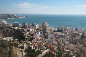 Depuis Alicante : vieille ville de Cullera et parc naturel de l'Albufera