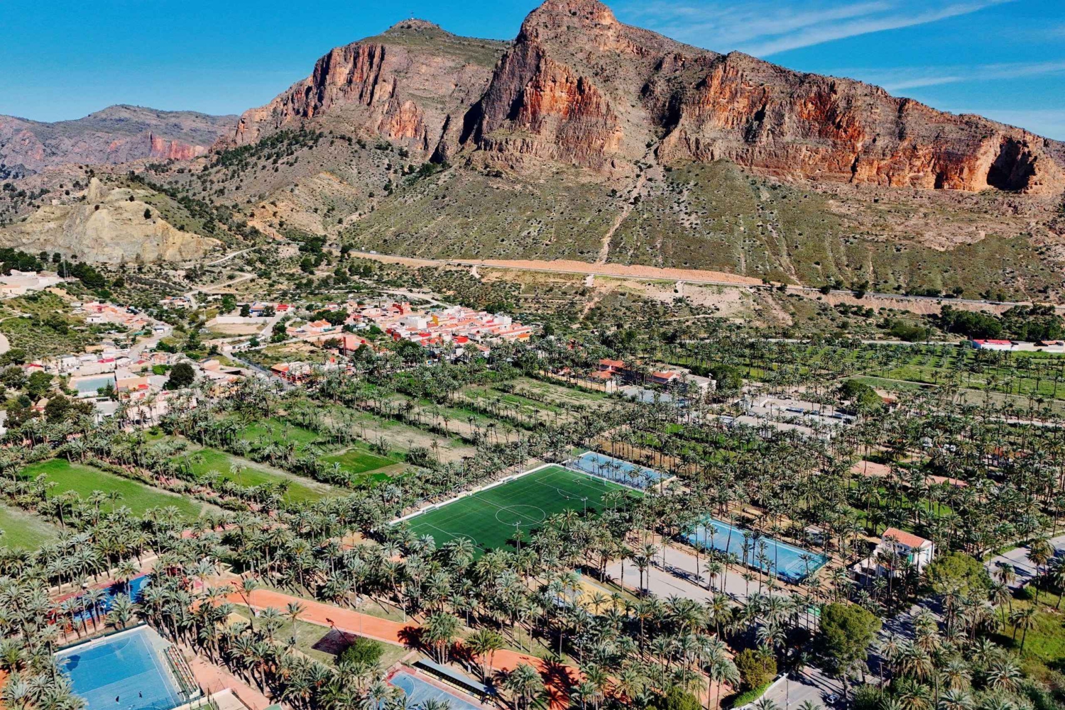 From Alicante: Elche Half-Day of Palms, History & Heritage