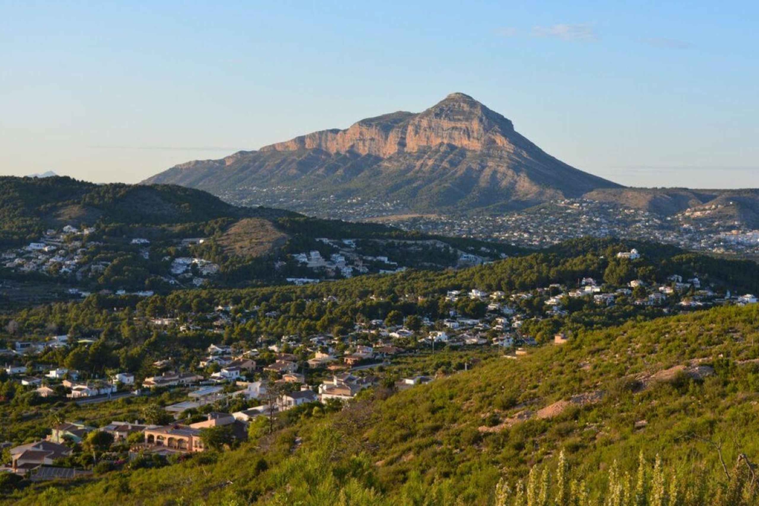 From Alicante: Elche Half-Day of Palms, History & Heritage