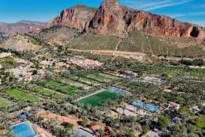 Au départ d'Alicante : Elche, demi-journée entre palmiers, histoire et patrimoine