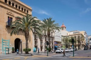 Au départ d'Alicante : Elche, demi-journée entre palmiers, histoire et patrimoine