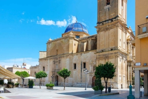Desde Alicante: medio día de palmeras, historia y patrimonio en Elche