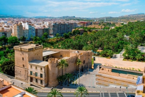 From Alicante: Elche Half-Day of Palms, History & Heritage