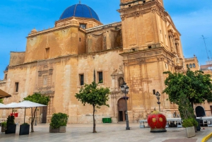 From Alicante: Elche Half-Day of Palms, History & Heritage