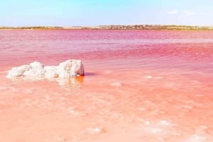 Fra Alicante: Utflukt til den rosa innsjøen og øya Tabarca