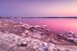 Fra Alicante: Utflukt til den rosa innsjøen og øya Tabarca