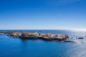 Vanuit Alicante: Excursie naar het Roze Meer & Tabarca Eiland