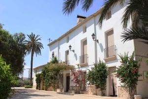 Alicante: tour guidato della cantina storica + degustazione di vino / trasporto privato