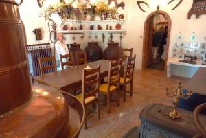 Alicante: tour guidato della cantina storica + degustazione di vino / trasporto privato