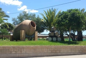 Alicante: tour guidato della cantina storica + degustazione di vino / trasporto privato