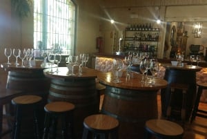 Alicante: tour guidato della cantina storica + degustazione di vino / trasporto privato
