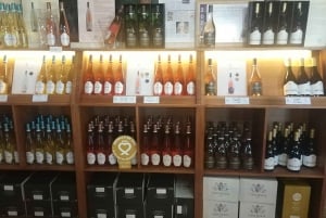 Alicante: tour guidato della cantina storica + degustazione di vino / trasporto privato