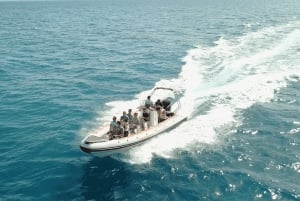 From Alicante: Speedboat tour with stop for swimming