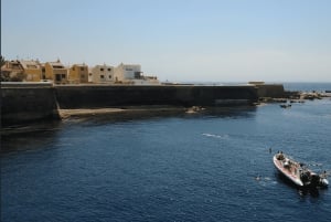 From Alicante: Speedboat tour to Tabarca Island with snorkeling