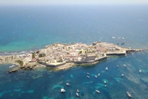 From Alicante: Speedboat tour to Tabarca Island with snorkeling
