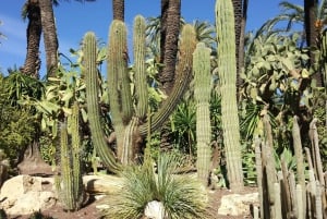 Alicante: UNESCO Heritage Palm grove + Artistic Garden Tour