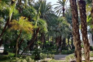 Alicante: UNESCO Heritage Palm grove + Artistic Garden Tour