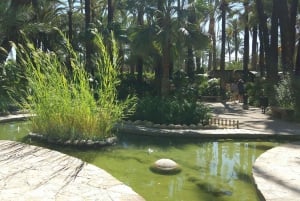 Alicante: UNESCO Heritage Palm grove + Artistic Garden Tour