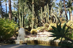 Alicante: UNESCO Heritage Palm grove + Artistic Garden Tour