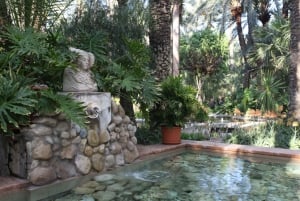 Alicante: UNESCO Heritage Palm grove + Artistic Garden Tour