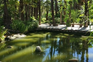 Alicante: UNESCO Heritage Palm grove + Artistic Garden Tour